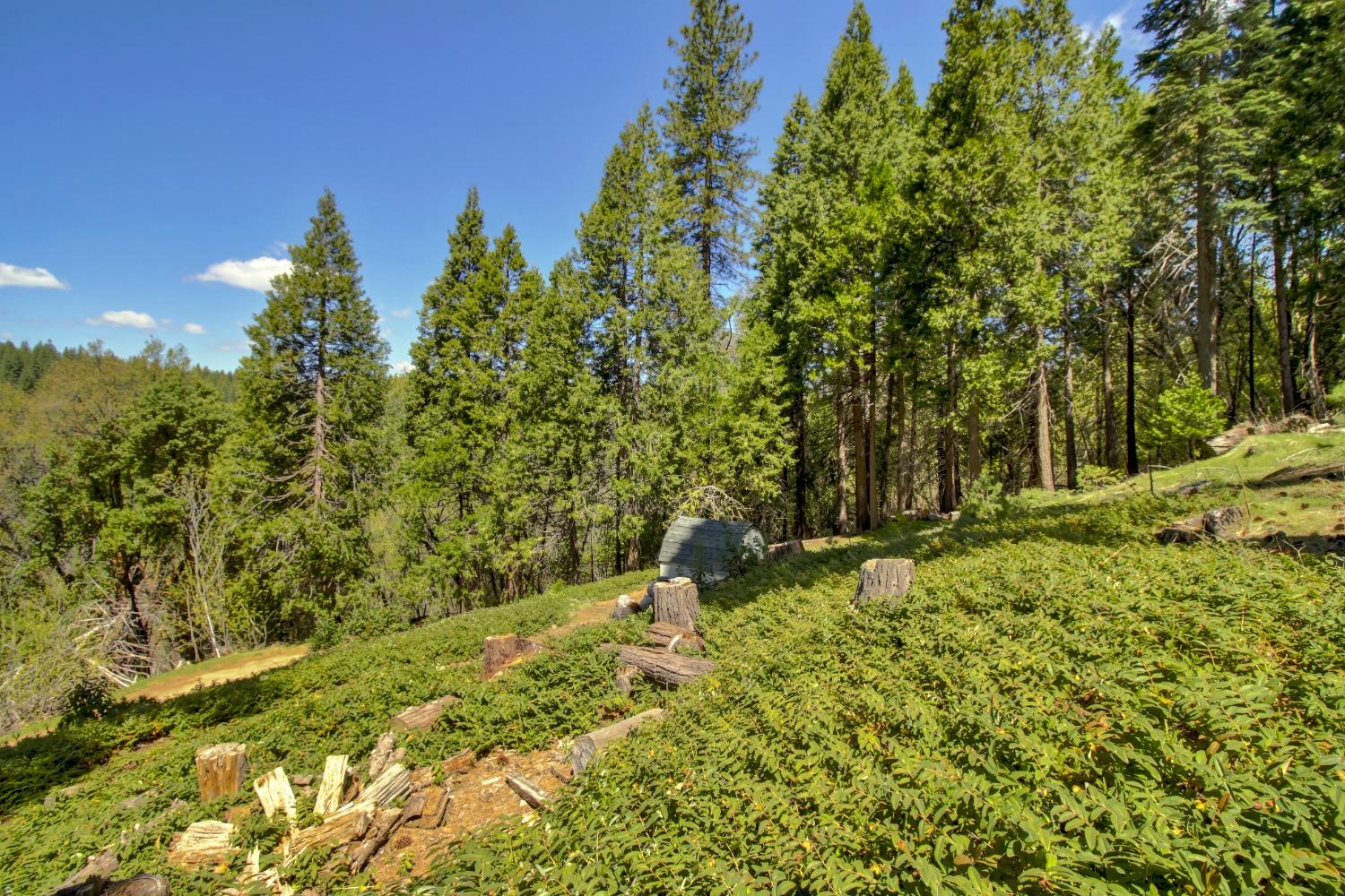 Detail Gallery Image 54 of 85 For 26601 High Trees Dr, Pioneer,  CA 95666 - 2 Beds | 1 Baths