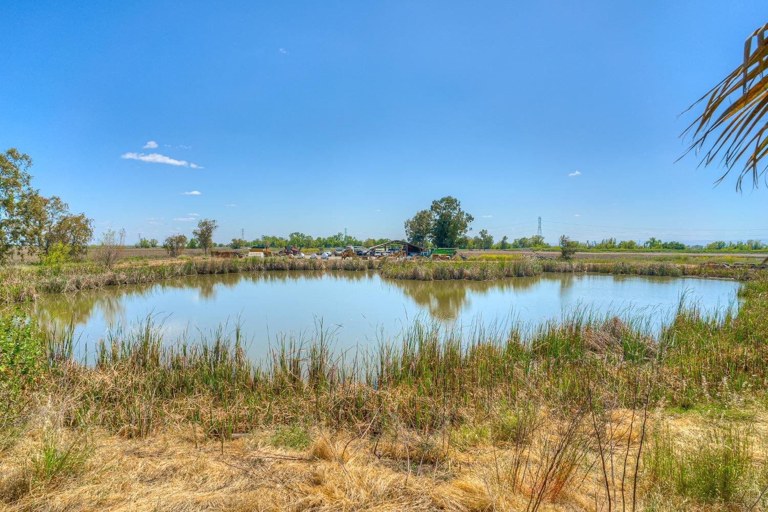 Detail Gallery Image 40 of 84 For 3145 Hunter Rd, Colusa,  CA 95932 - 3 Beds | 2/1 Baths