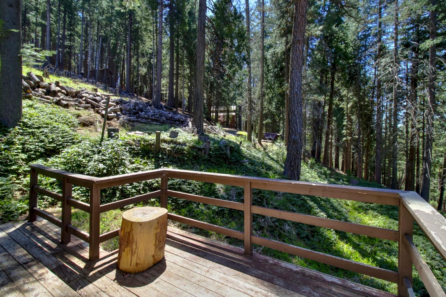 Detail Gallery Image 51 of 85 For 26601 High Trees Dr, Pioneer,  CA 95666 - 2 Beds | 1 Baths
