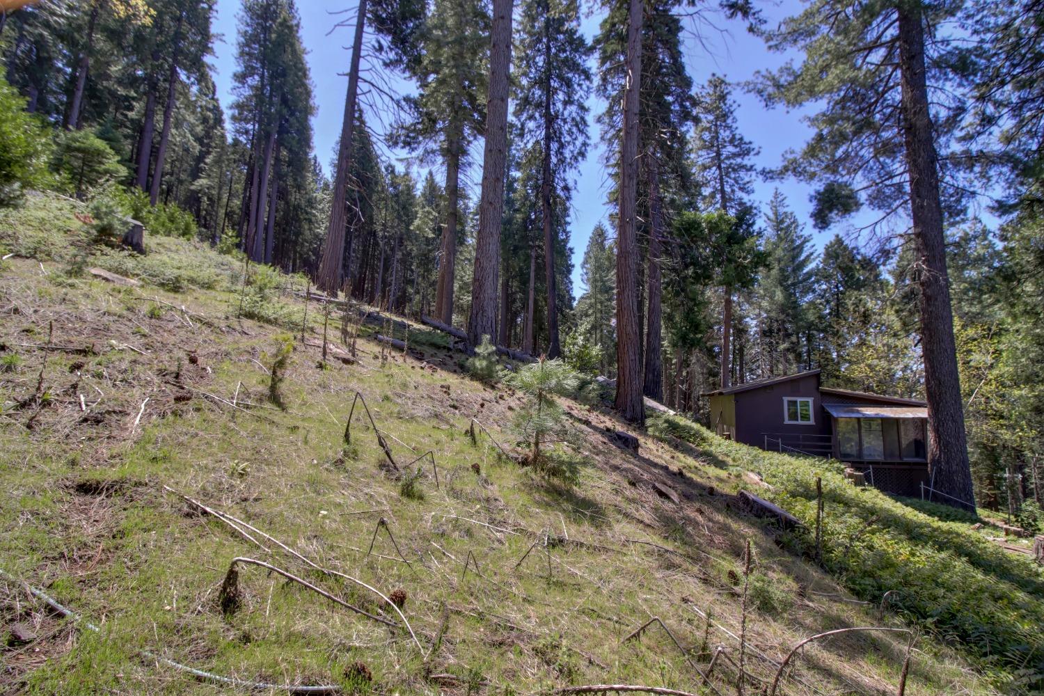 Detail Gallery Image 76 of 85 For 26601 High Trees Dr, Pioneer,  CA 95666 - 2 Beds | 1 Baths
