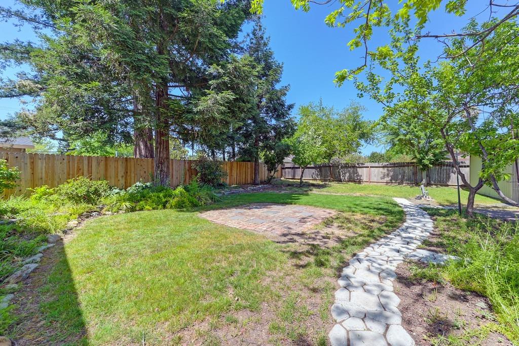 Whitney Avenue, Carmichael, California image 41