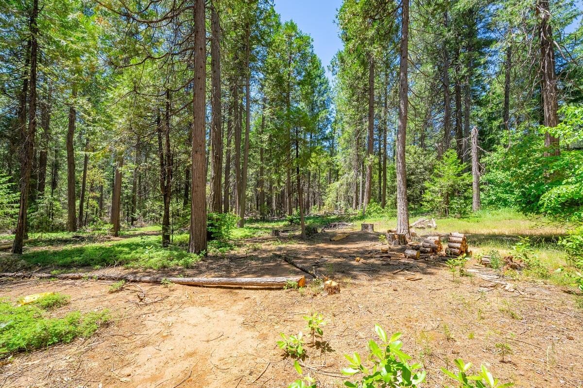 Detail Gallery Image 51 of 62 For 450 Bottle Hill Rd, Georgetown,  CA 95634 - 3 Beds | 2 Baths