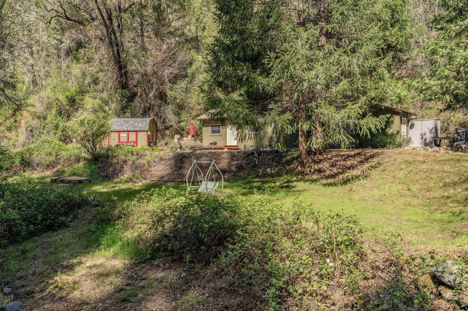 Detail Gallery Image 38 of 48 For 1702 Rail Road Flat Rd, Wilseyville,  CA 95257 - 1 Beds | 1 Baths