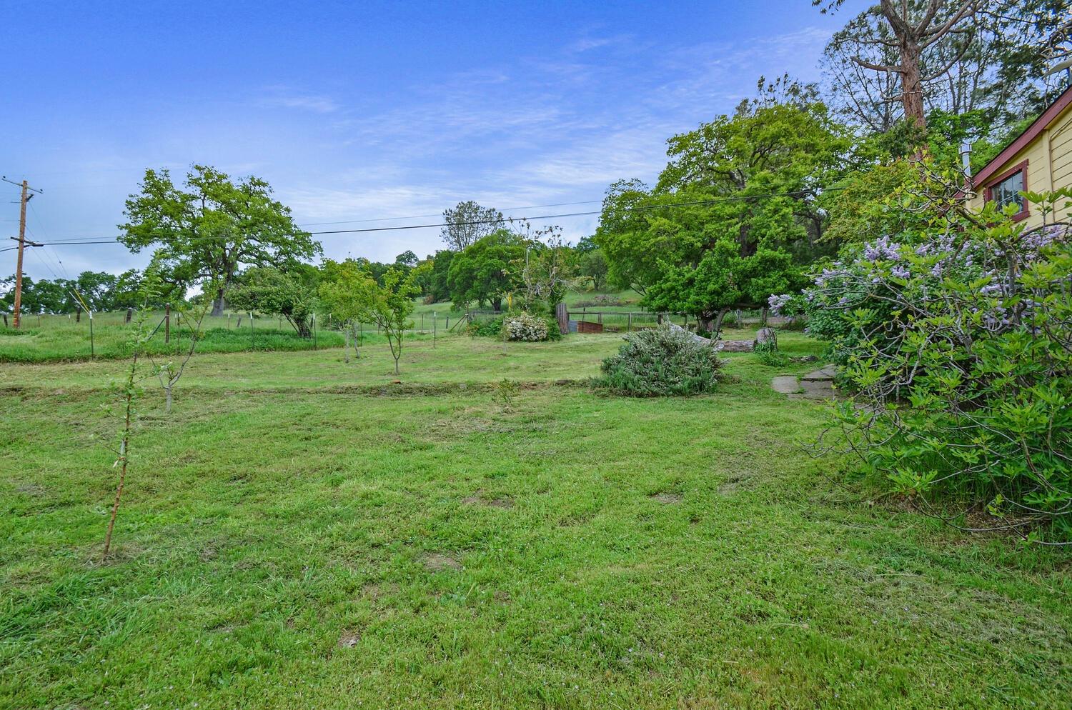 Detail Gallery Image 51 of 73 For 14849 Bunker Hill Rd, Amador City,  CA 95601 - 3 Beds | 2 Baths