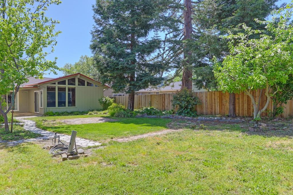 Whitney Avenue, Carmichael, California image 46