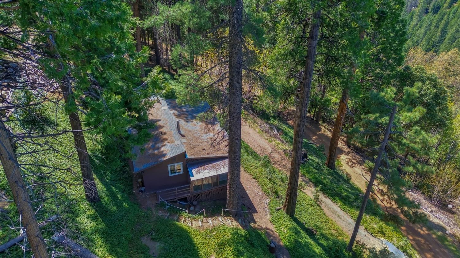 Detail Gallery Image 69 of 85 For 26601 High Trees Dr, Pioneer,  CA 95666 - 2 Beds | 1 Baths