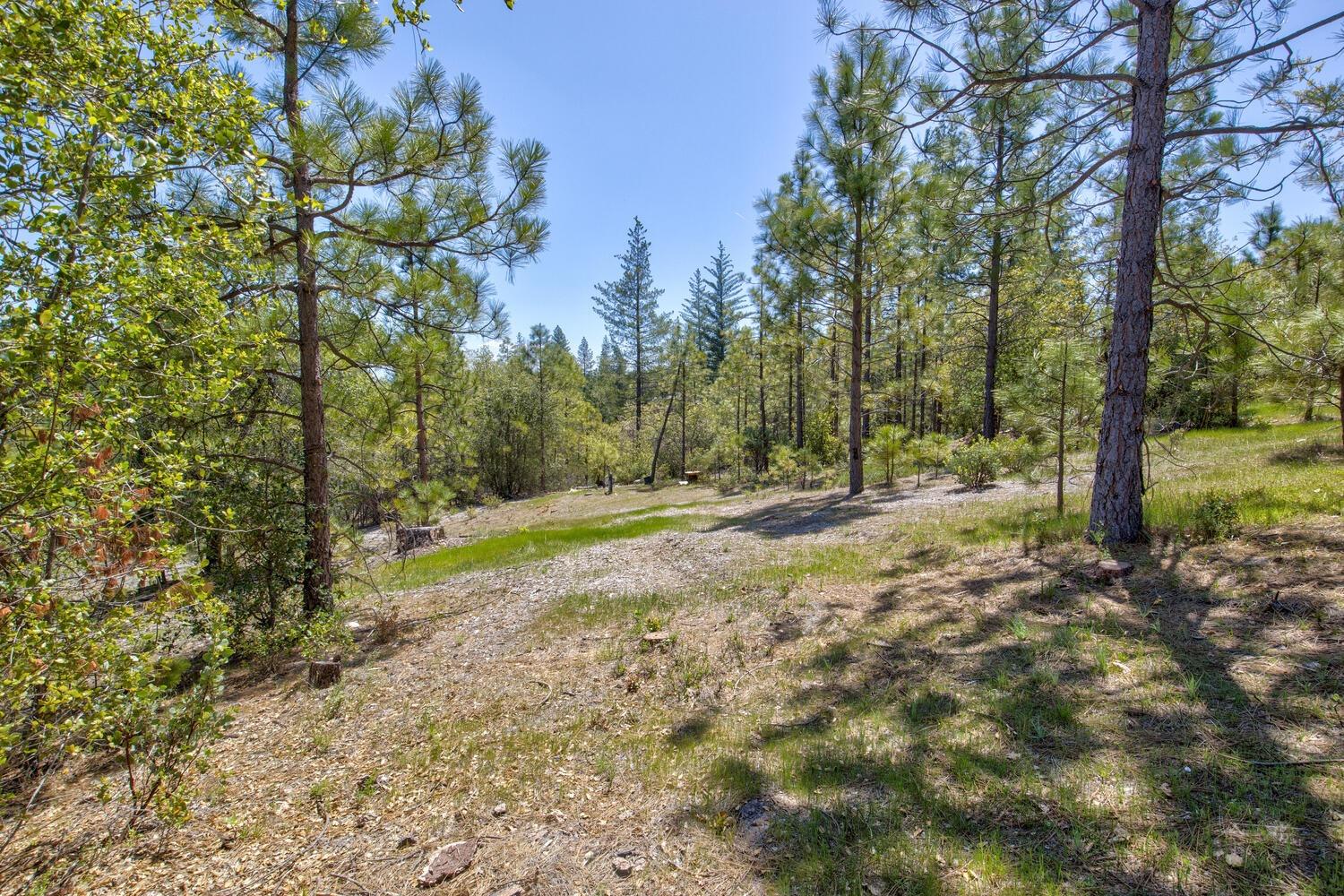 Detail Gallery Image 55 of 76 For 9413 E Ponderosa Way, Coulterville,  CA 95311 - 3 Beds | 2 Baths