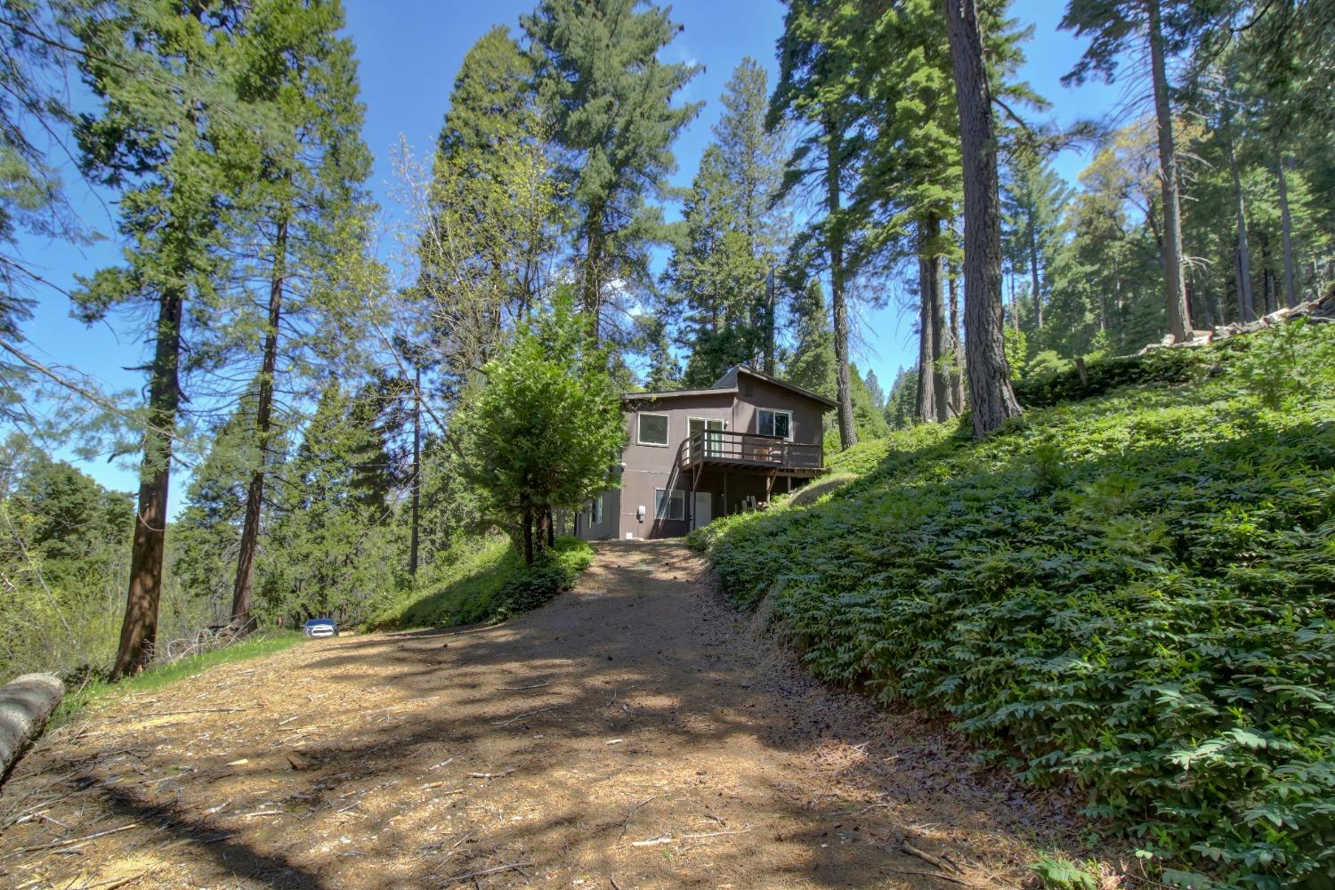 Detail Gallery Image 62 of 85 For 26601 High Trees Dr, Pioneer,  CA 95666 - 2 Beds | 1 Baths