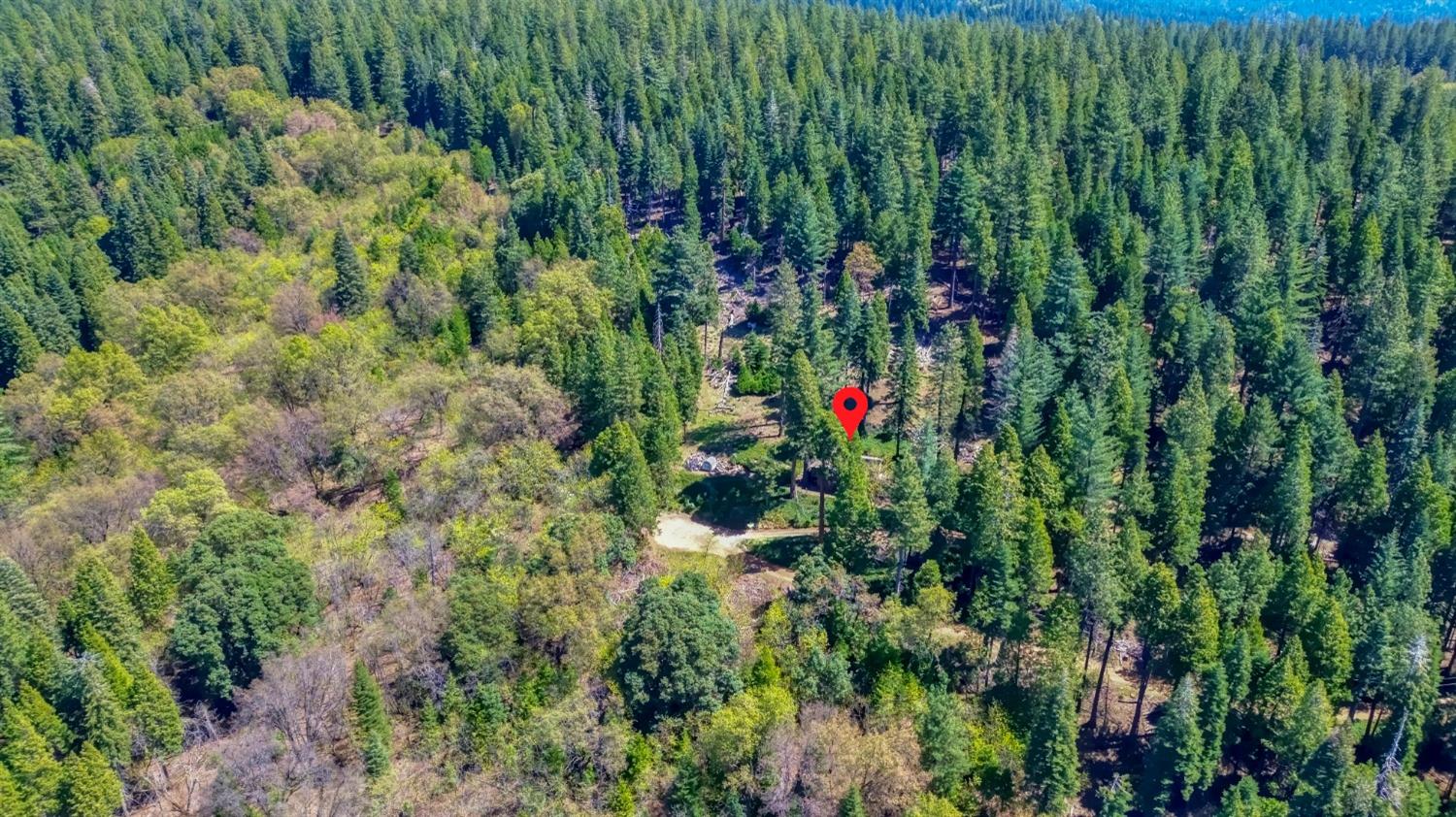 Detail Gallery Image 82 of 85 For 26601 High Trees Dr, Pioneer,  CA 95666 - 2 Beds | 1 Baths