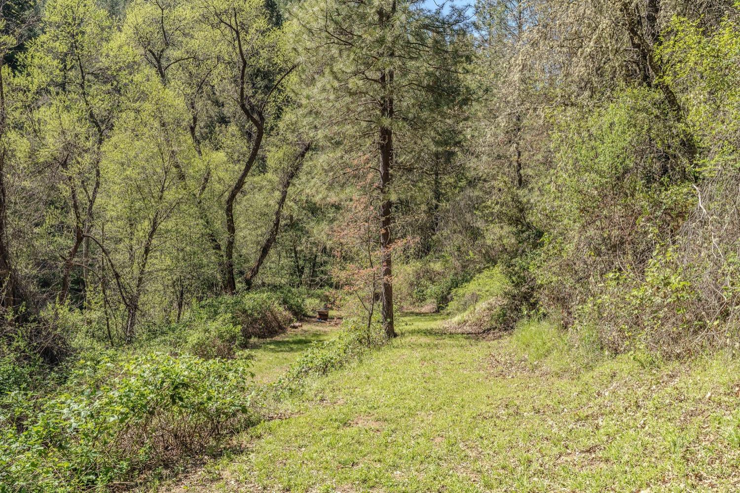 Detail Gallery Image 40 of 48 For 1702 Rail Road Flat Rd, Wilseyville,  CA 95257 - 1 Beds | 1 Baths