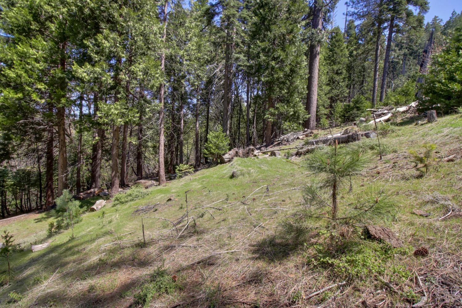 Detail Gallery Image 55 of 85 For 26601 High Trees Dr, Pioneer,  CA 95666 - 2 Beds | 1 Baths