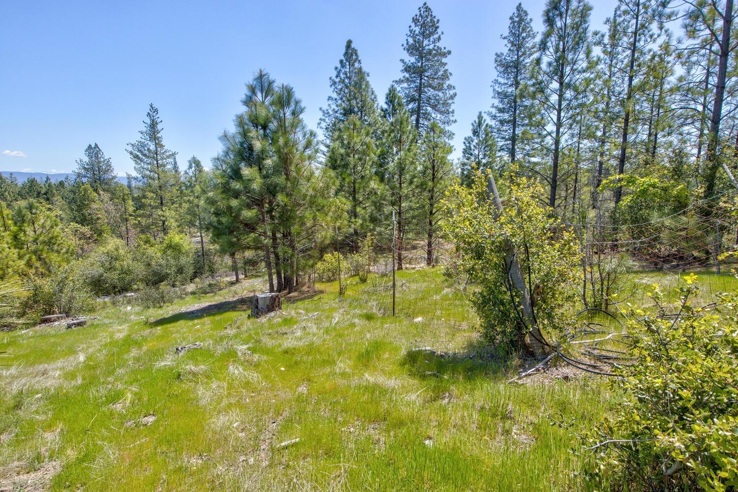 Detail Gallery Image 61 of 76 For 9413 E Ponderosa Way, Coulterville,  CA 95311 - 3 Beds | 2 Baths