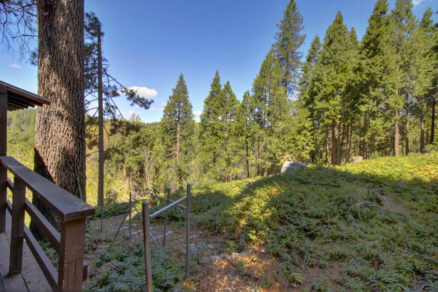 Detail Gallery Image 53 of 85 For 26601 High Trees Dr, Pioneer,  CA 95666 - 2 Beds | 1 Baths