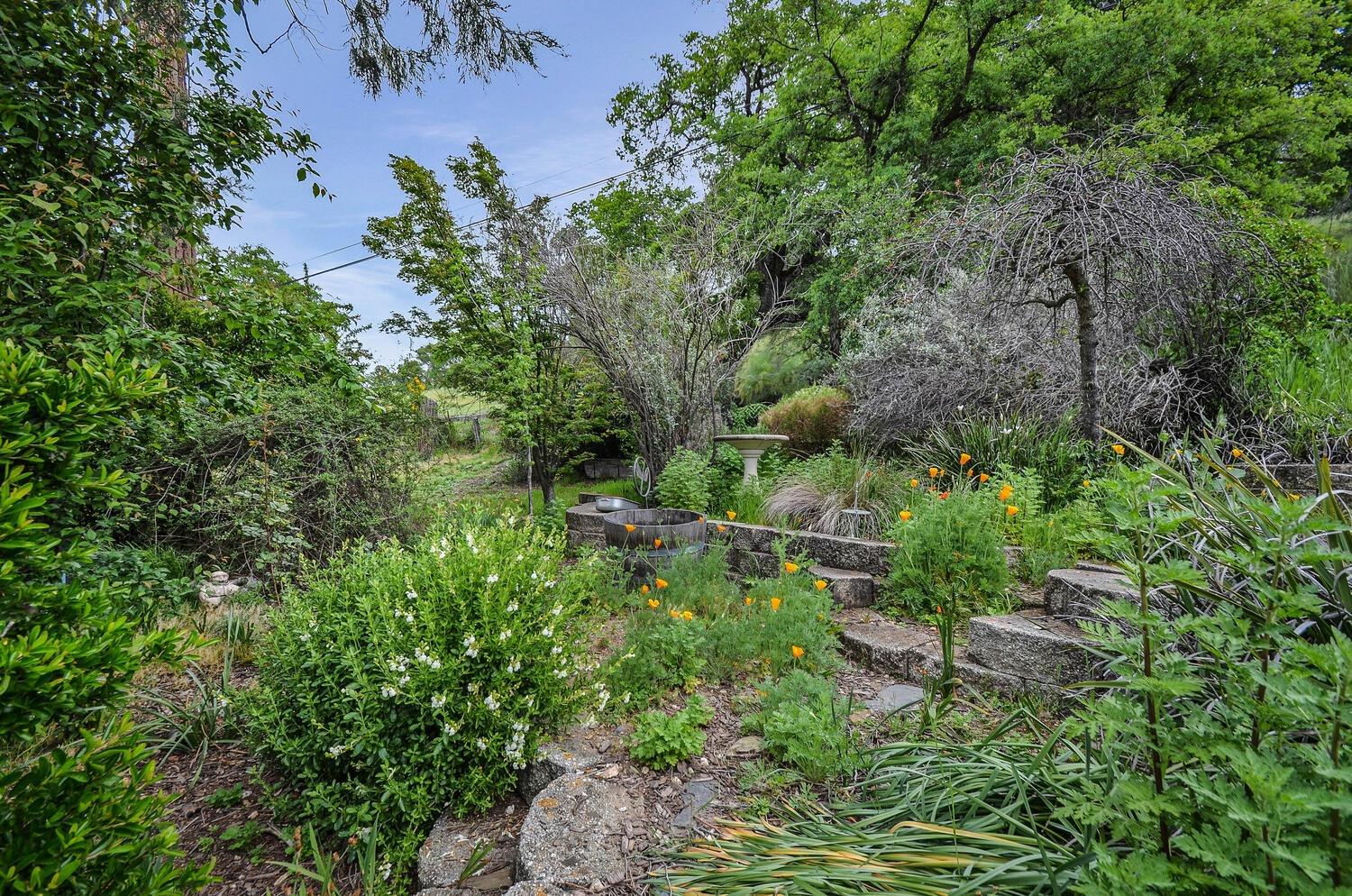 Detail Gallery Image 54 of 73 For 14849 Bunker Hill Rd, Amador City,  CA 95601 - 3 Beds | 2 Baths