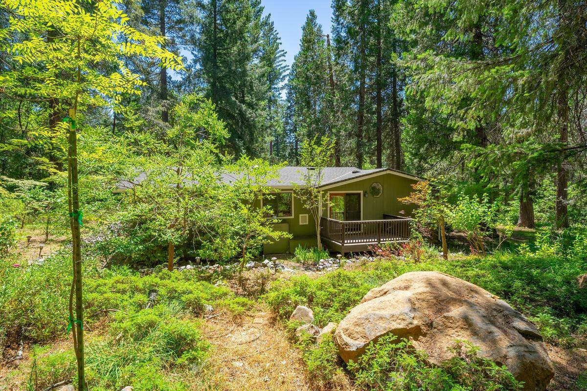 Detail Gallery Image 56 of 62 For 450 Bottle Hill Rd, Georgetown,  CA 95634 - 3 Beds | 2 Baths