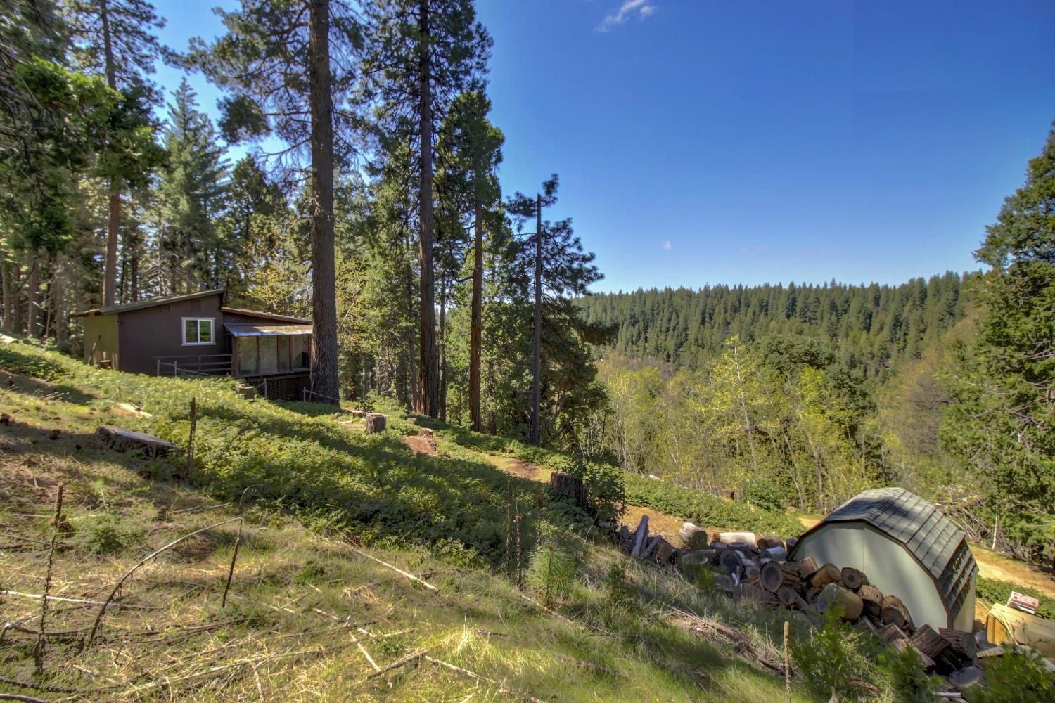 Detail Gallery Image 16 of 85 For 26601 High Trees Dr, Pioneer,  CA 95666 - 2 Beds | 1 Baths