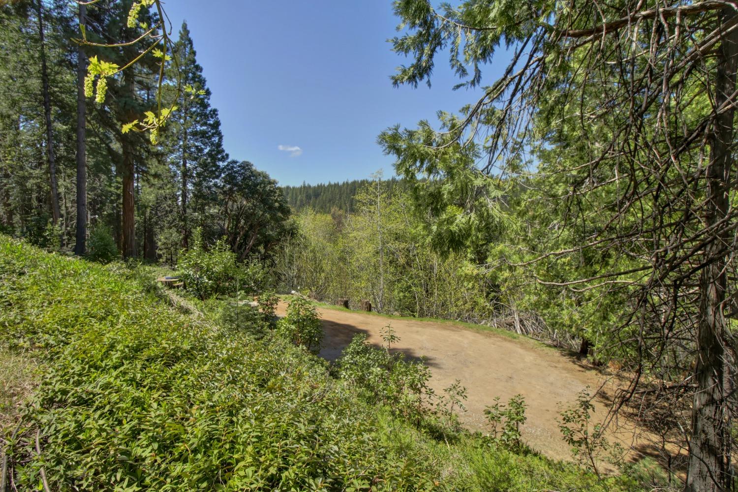 Detail Gallery Image 57 of 85 For 26601 High Trees Dr, Pioneer,  CA 95666 - 2 Beds | 1 Baths