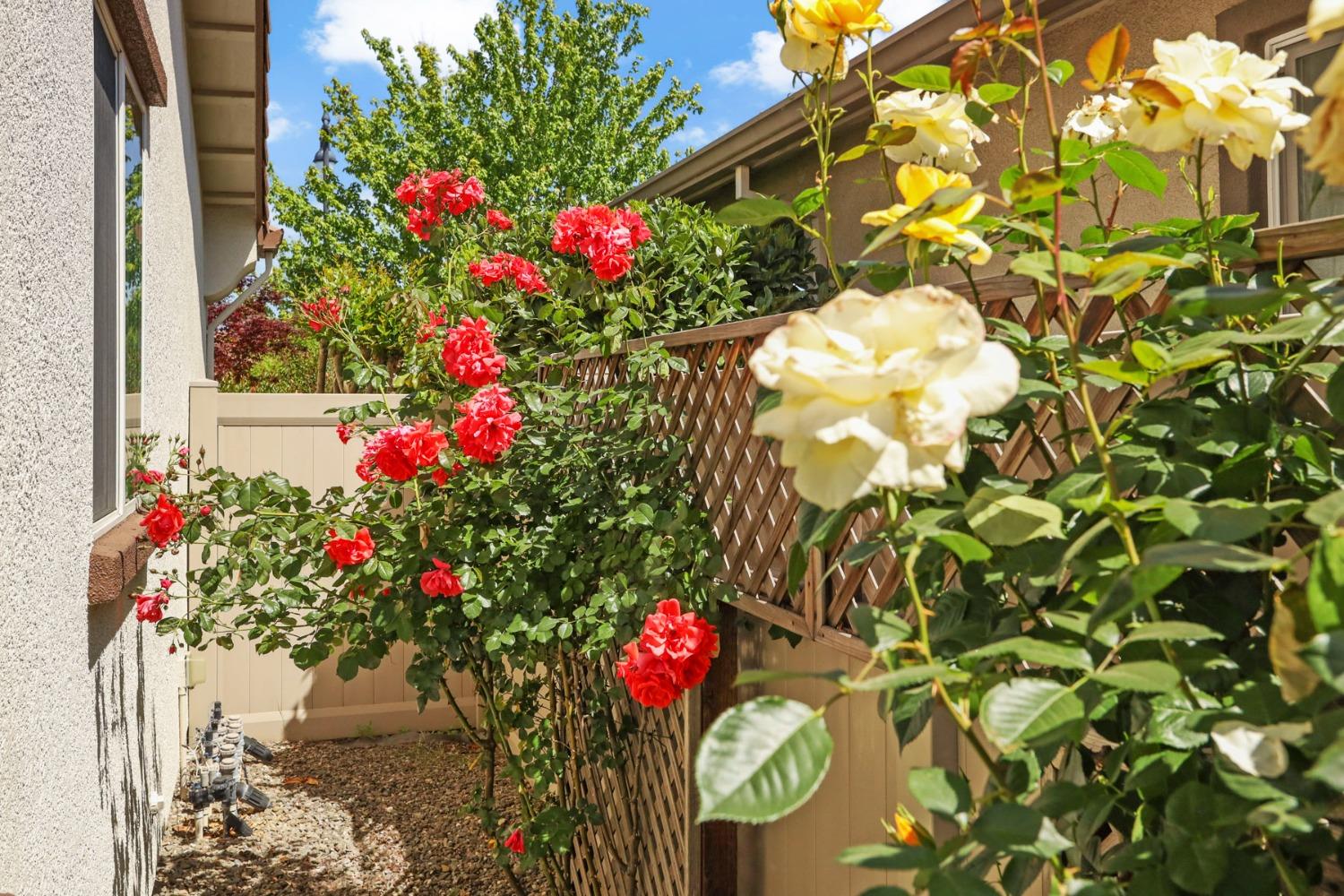 Detail Gallery Image 42 of 78 For 1736 Dogwood Glen Way, Manteca,  CA 95336 - 2 Beds | 2 Baths