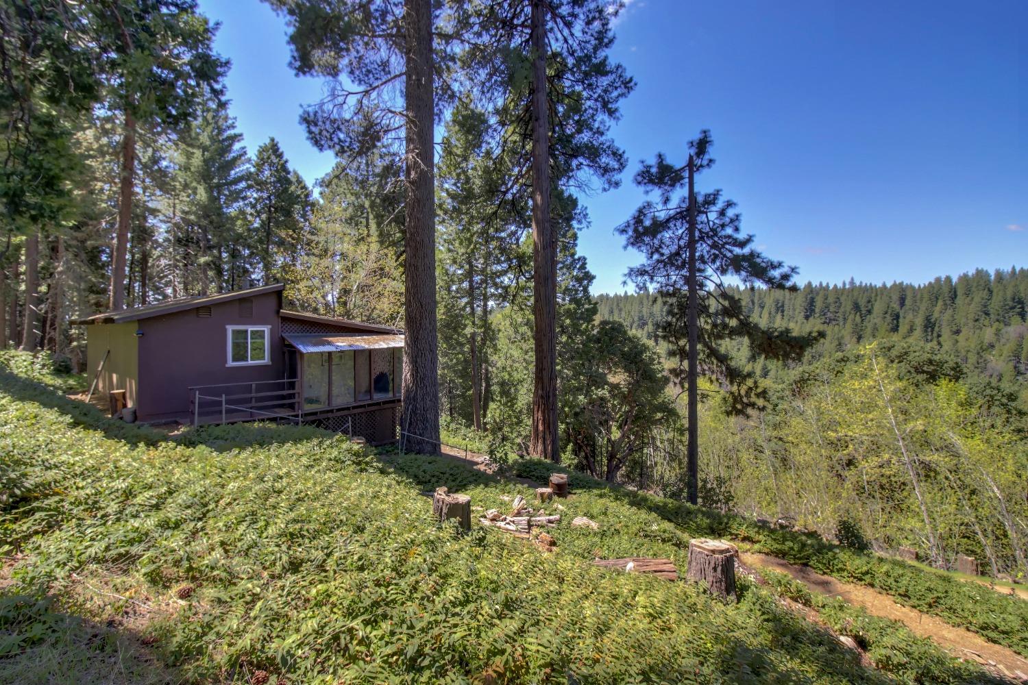Detail Gallery Image 15 of 85 For 26601 High Trees Dr, Pioneer,  CA 95666 - 2 Beds | 1 Baths