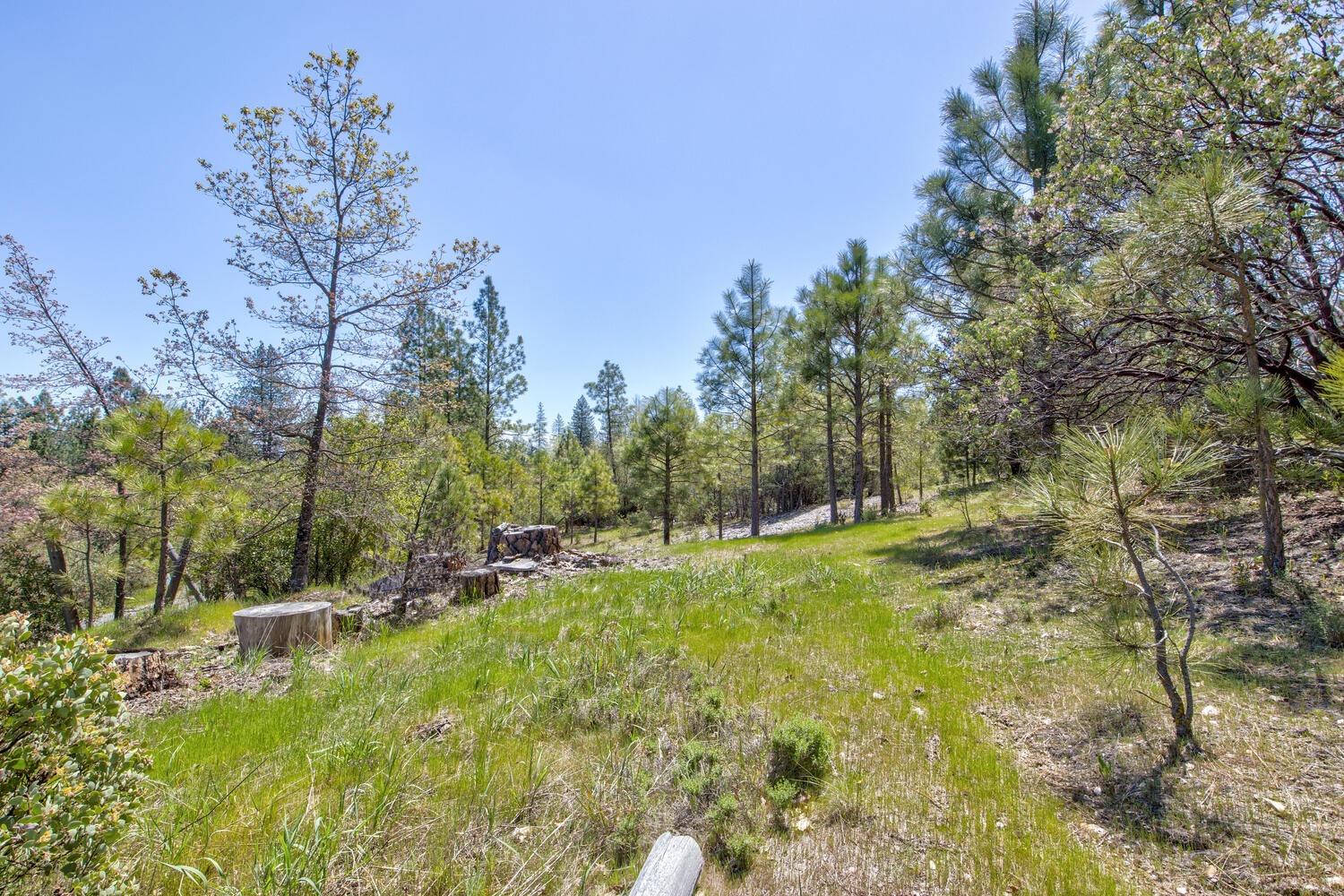 Detail Gallery Image 54 of 76 For 9413 E Ponderosa Way, Coulterville,  CA 95311 - 3 Beds | 2 Baths