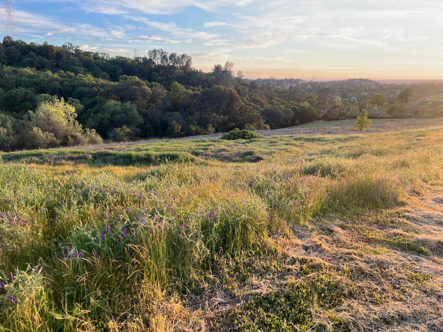 Sangiovese Drive, El Dorado Hills, California image 12