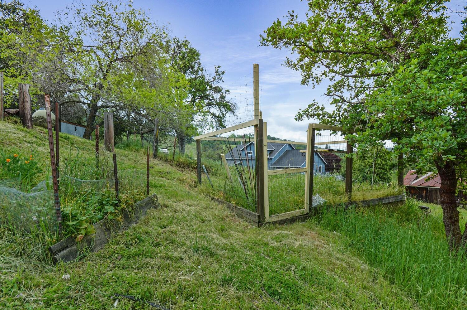 Detail Gallery Image 65 of 73 For 14849 Bunker Hill Rd, Amador City,  CA 95601 - 3 Beds | 2 Baths