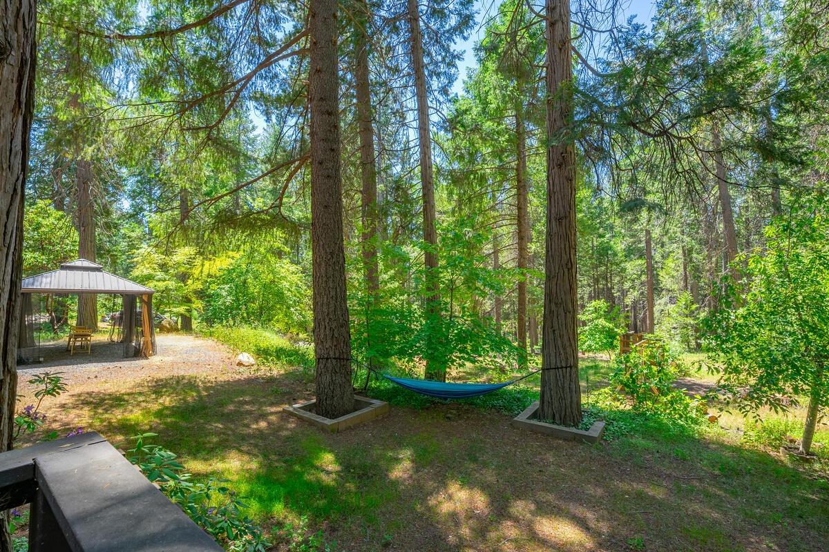 Detail Gallery Image 60 of 62 For 450 Bottle Hill Rd, Georgetown,  CA 95634 - 3 Beds | 2 Baths