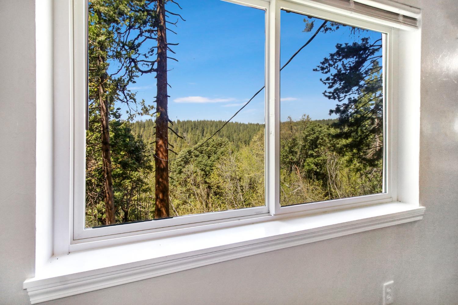Detail Gallery Image 20 of 85 For 26601 High Trees Dr, Pioneer,  CA 95666 - 2 Beds | 1 Baths