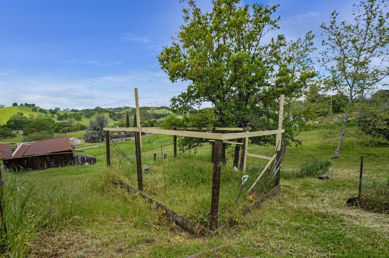 Detail Gallery Image 71 of 73 For 14849 Bunker Hill Rd, Amador City,  CA 95601 - 3 Beds | 2 Baths