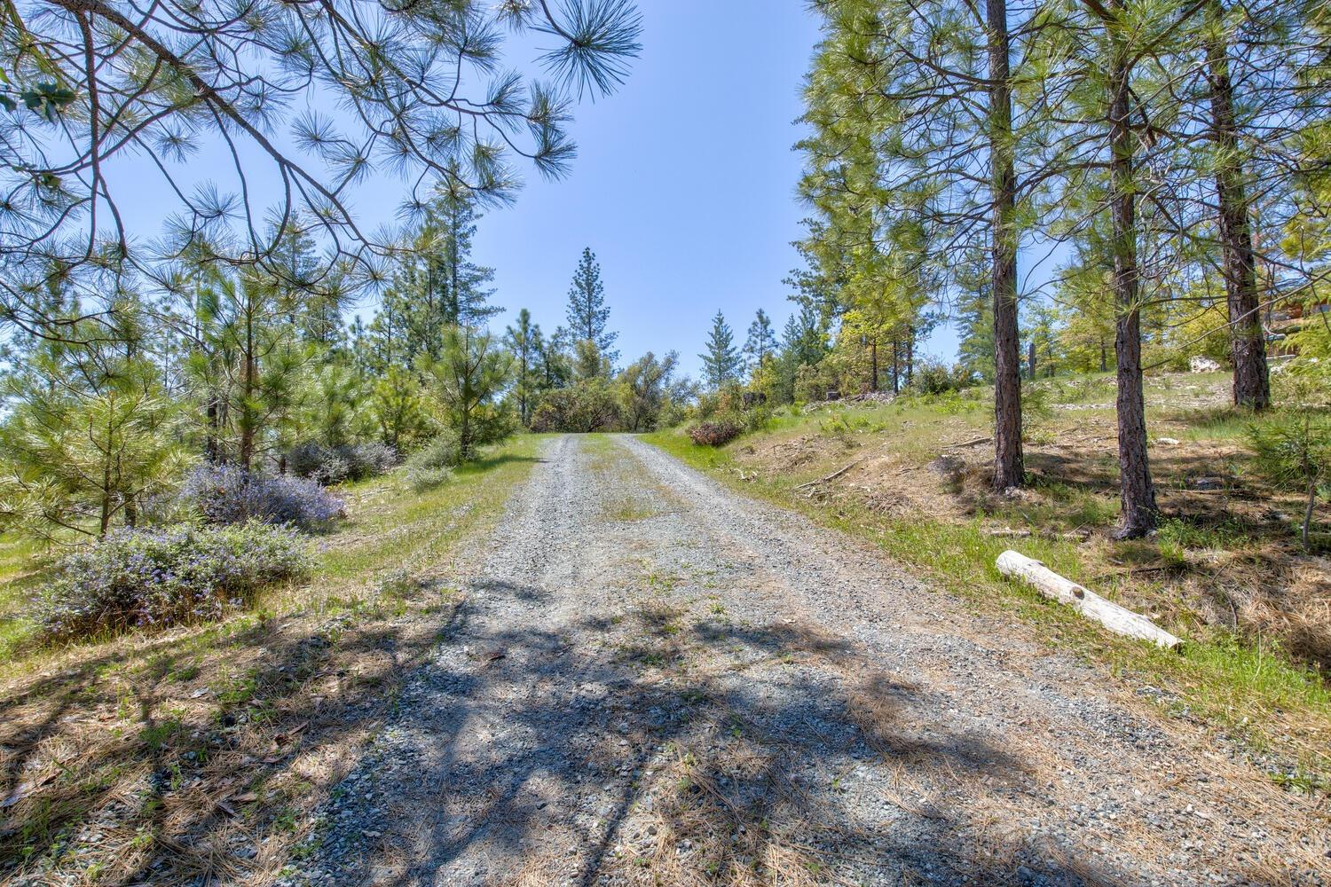 Detail Gallery Image 58 of 76 For 9413 E Ponderosa Way, Coulterville,  CA 95311 - 3 Beds | 2 Baths