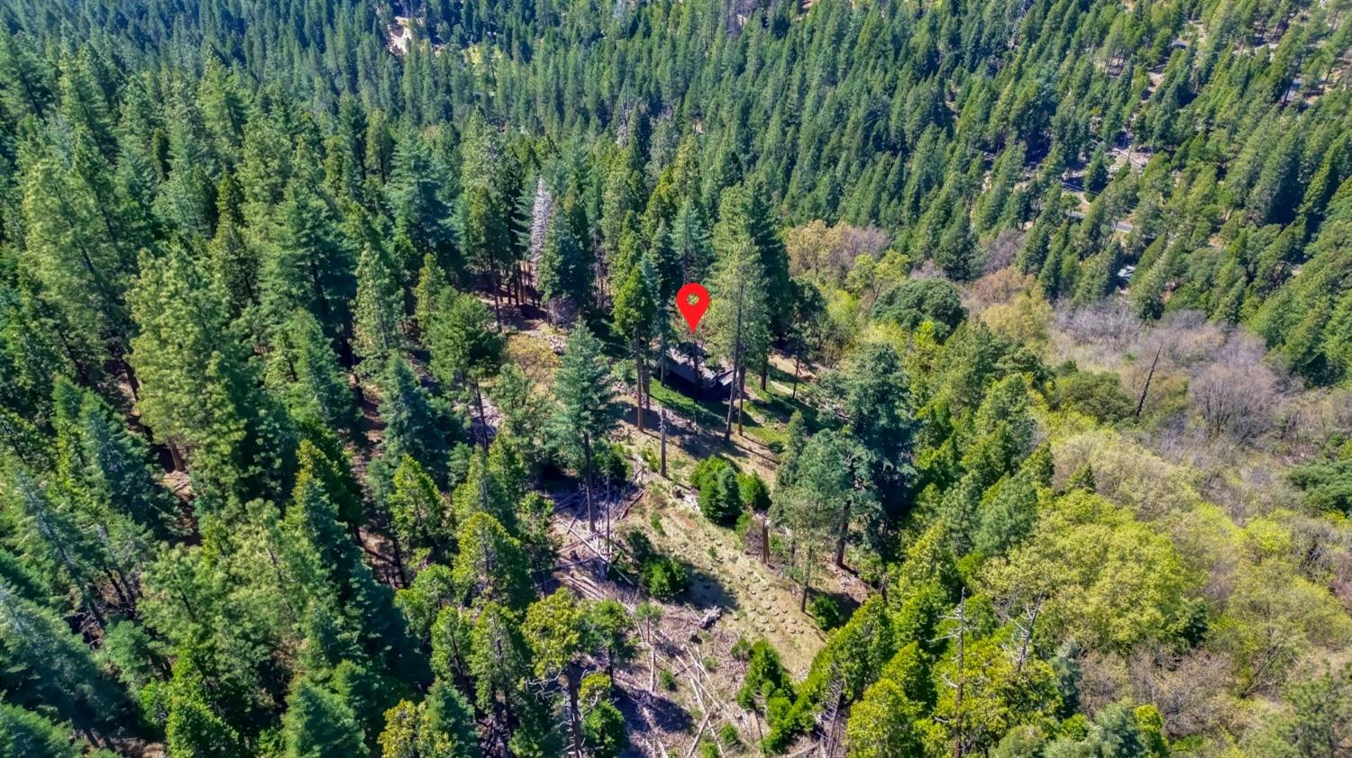 Detail Gallery Image 81 of 85 For 26601 High Trees Dr, Pioneer,  CA 95666 - 2 Beds | 1 Baths