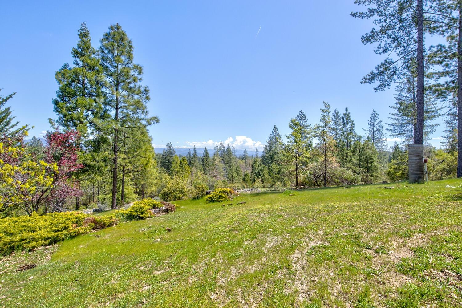 Detail Gallery Image 76 of 76 For 9413 E Ponderosa Way, Coulterville,  CA 95311 - 3 Beds | 2 Baths
