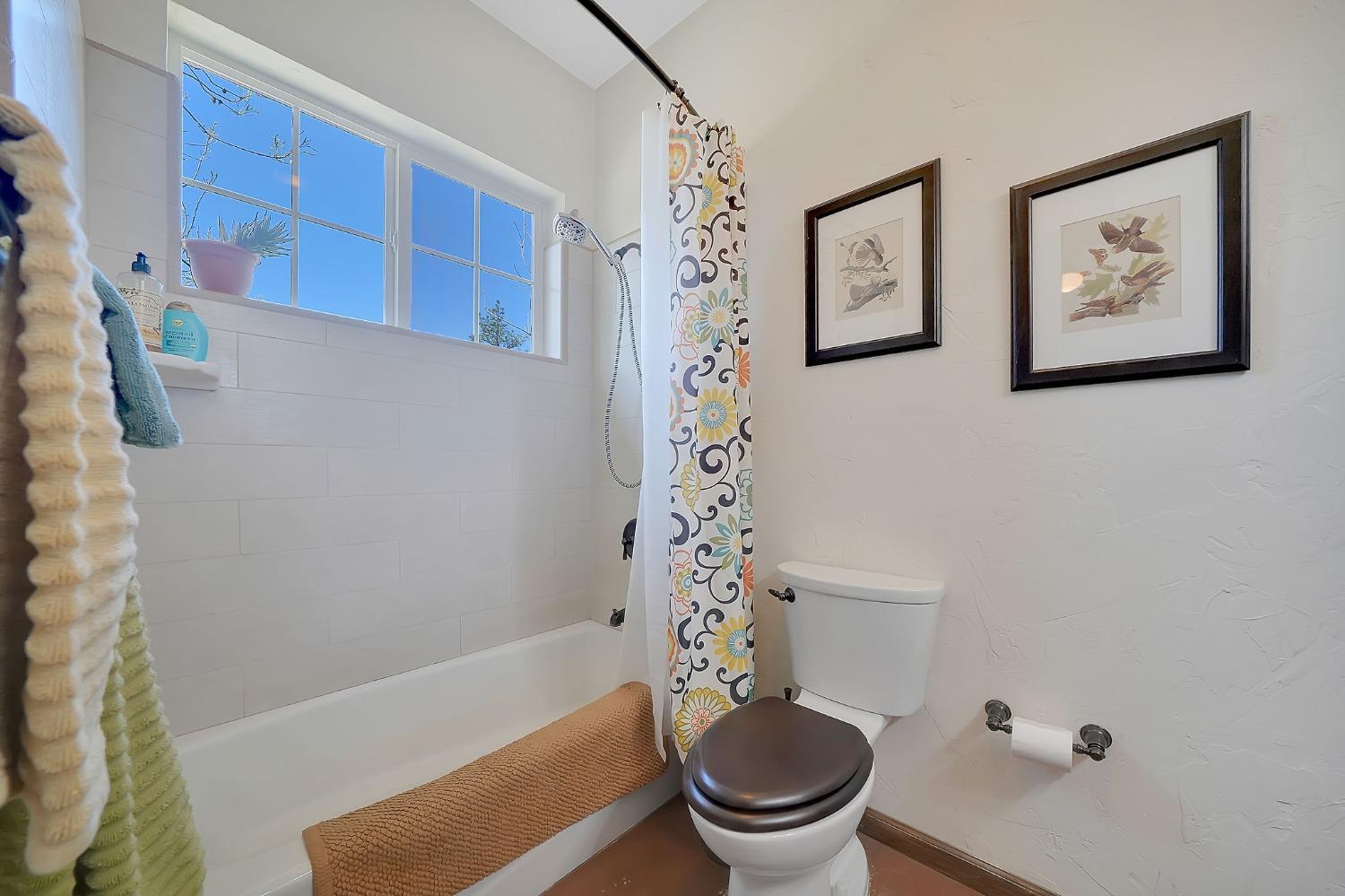 Detail Gallery Image 46 of 98 For 15900 State Highway 88, Jackson,  CA 95642 - 3 Beds | 2 Baths