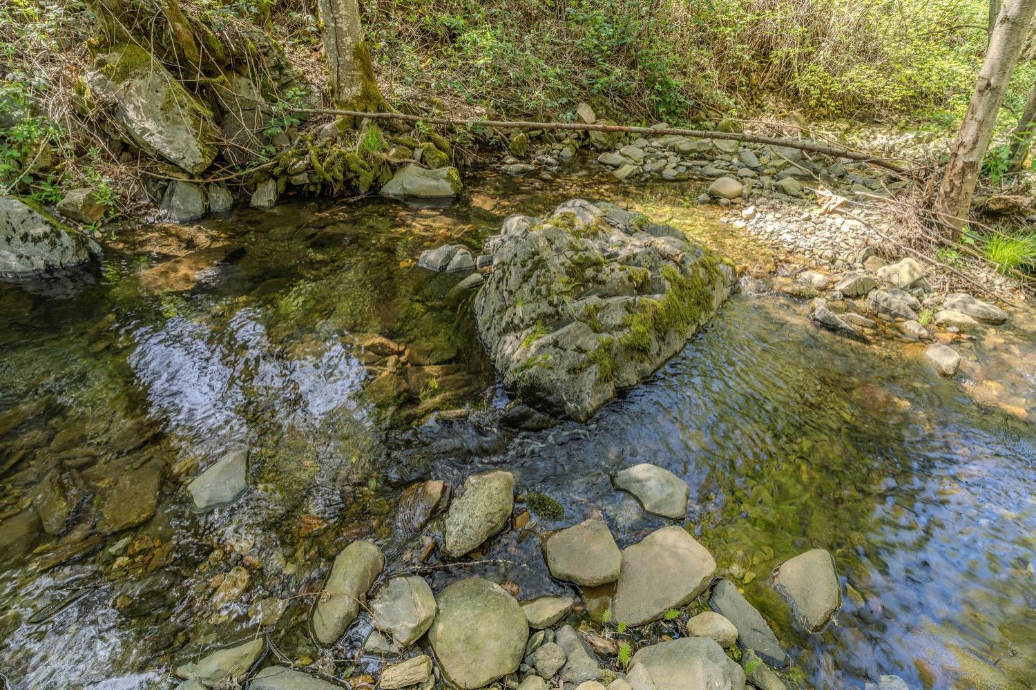 Detail Gallery Image 35 of 48 For 1702 Rail Road Flat Rd, Wilseyville,  CA 95257 - 1 Beds | 1 Baths