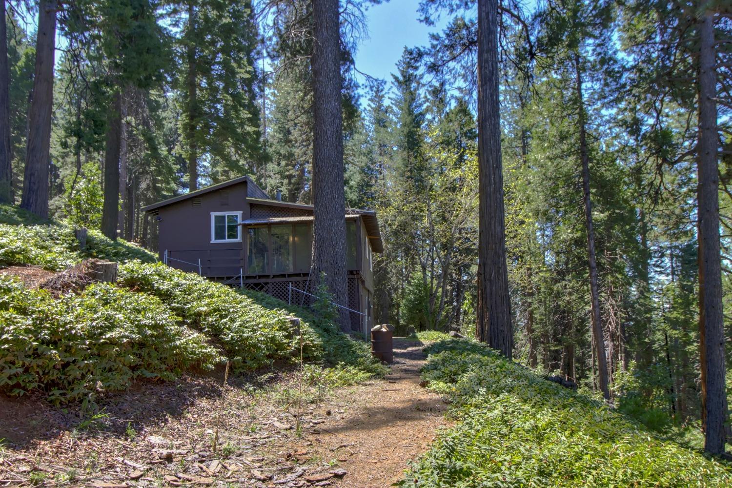 Detail Gallery Image 59 of 85 For 26601 High Trees Dr, Pioneer,  CA 95666 - 2 Beds | 1 Baths
