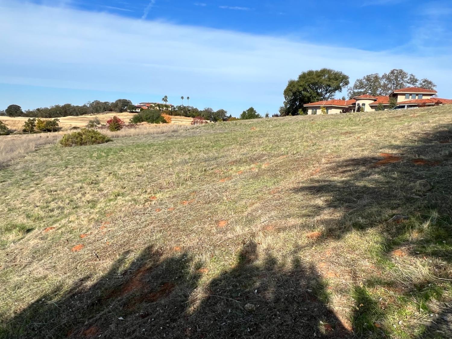 Sangiovese Drive, El Dorado Hills, California image 9