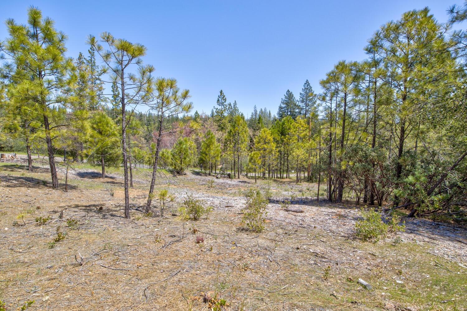 Detail Gallery Image 57 of 76 For 9413 E Ponderosa Way, Coulterville,  CA 95311 - 3 Beds | 2 Baths