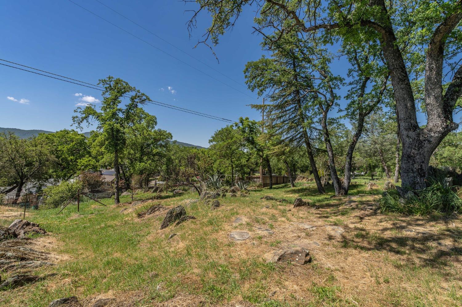 Detail Gallery Image 56 of 74 For 1518 E Oak Park Dr, San Andreas,  CA 95249 - 2 Beds | 2 Baths