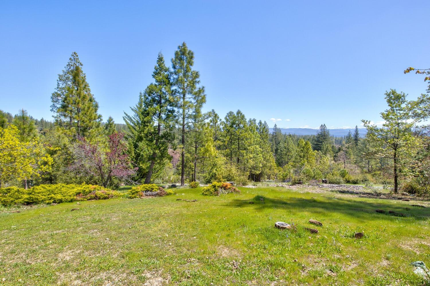 Detail Gallery Image 75 of 76 For 9413 E Ponderosa Way, Coulterville,  CA 95311 - 3 Beds | 2 Baths