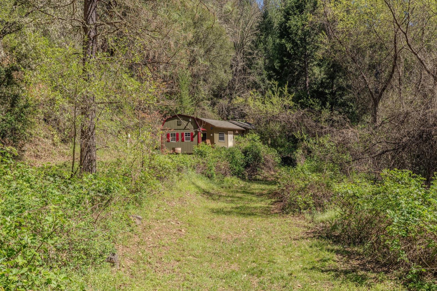 Detail Gallery Image 41 of 48 For 1702 Rail Road Flat Rd, Wilseyville,  CA 95257 - 1 Beds | 1 Baths