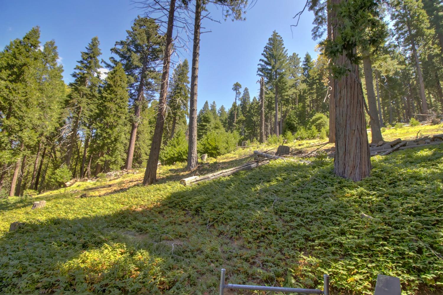 Detail Gallery Image 64 of 85 For 26601 High Trees Dr, Pioneer,  CA 95666 - 2 Beds | 1 Baths