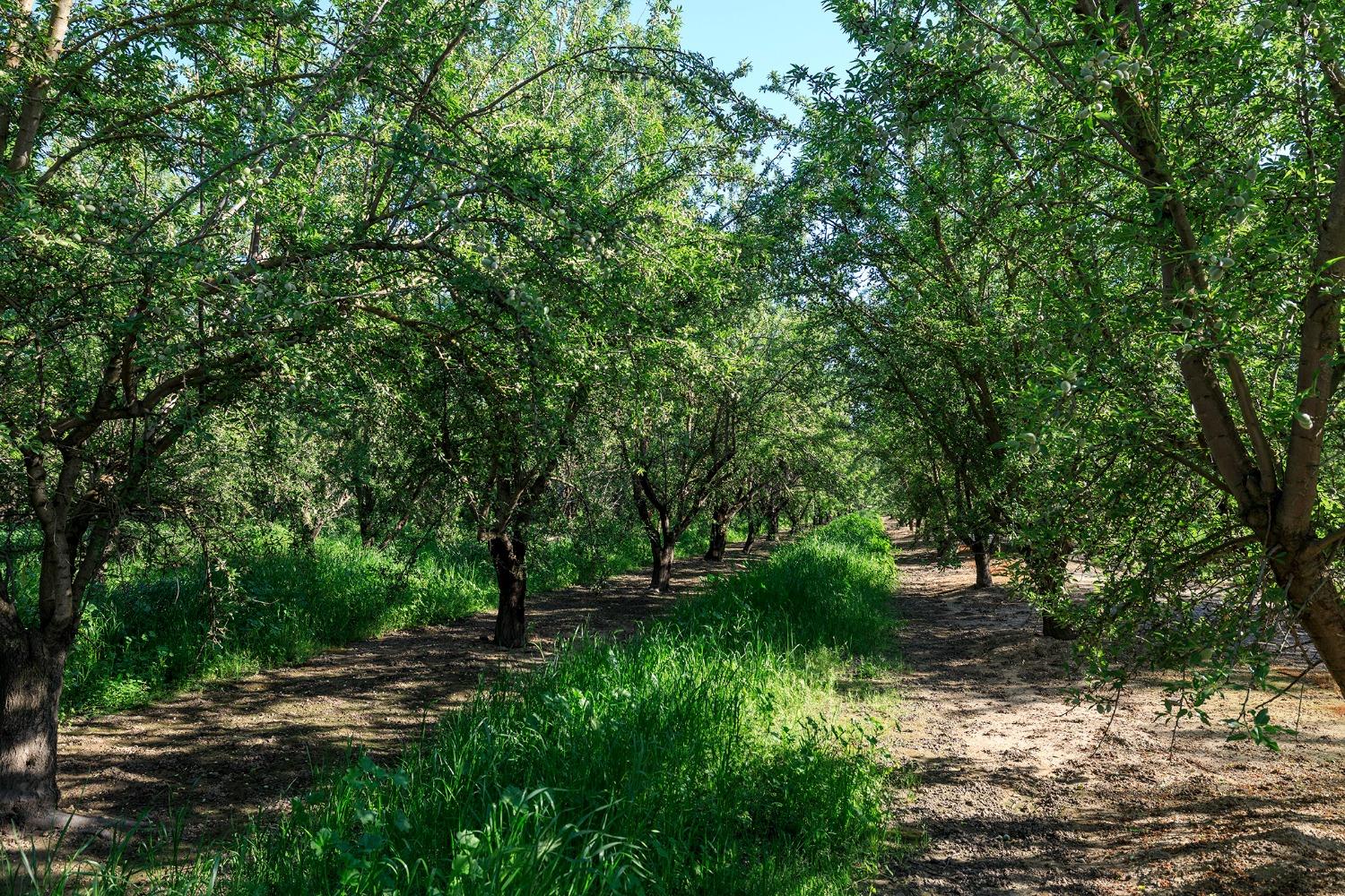 Yosemite Boulevard, Modesto, California image 31