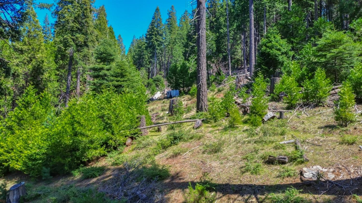 Detail Gallery Image 78 of 85 For 26601 High Trees Dr, Pioneer,  CA 95666 - 2 Beds | 1 Baths