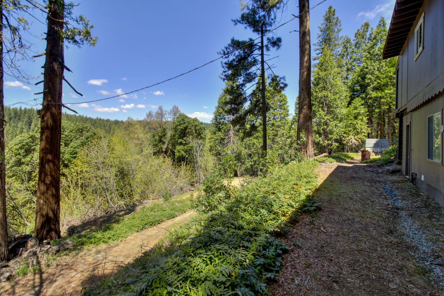 Detail Gallery Image 60 of 85 For 26601 High Trees Dr, Pioneer,  CA 95666 - 2 Beds | 1 Baths
