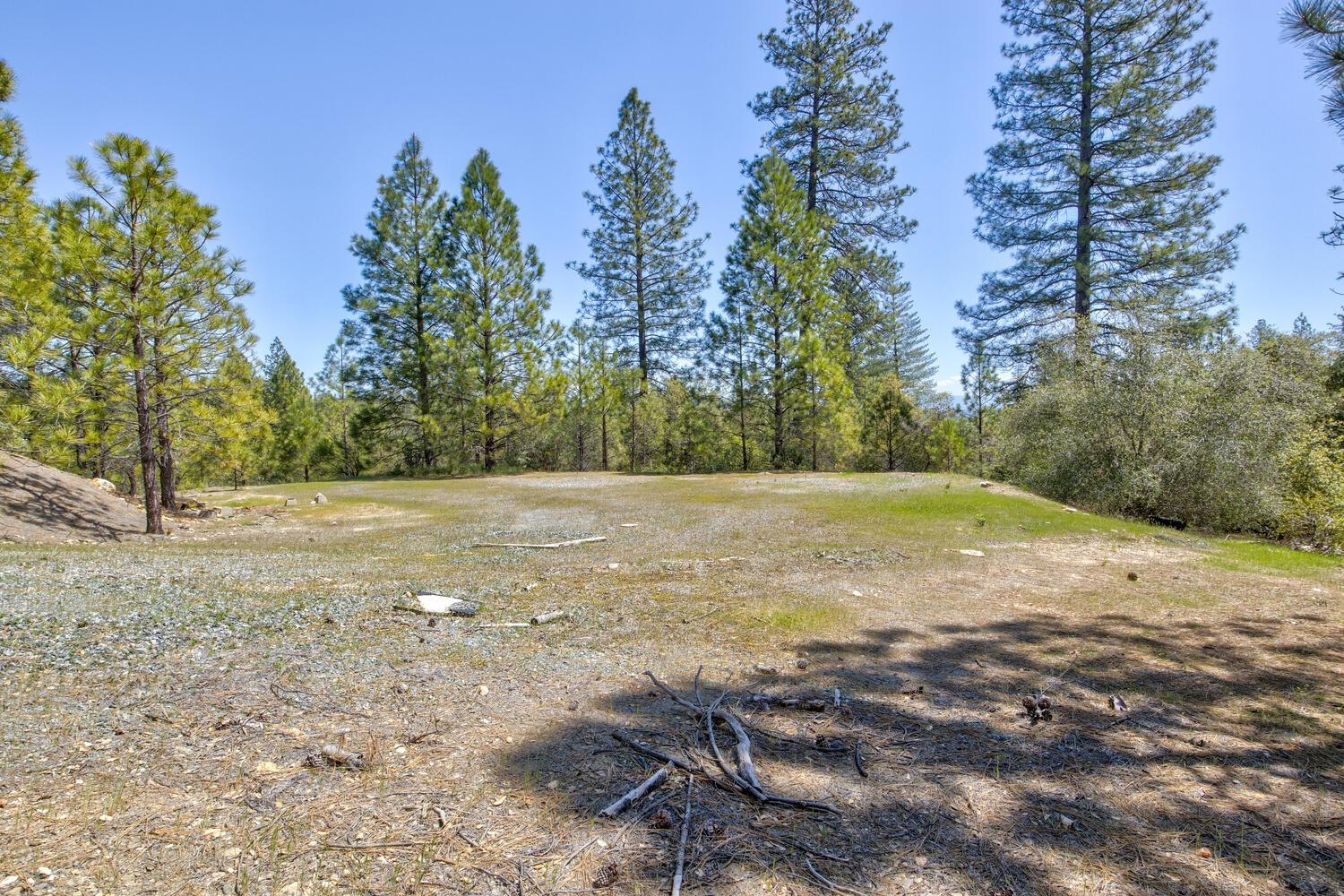 Detail Gallery Image 62 of 76 For 9413 E Ponderosa Way, Coulterville,  CA 95311 - 3 Beds | 2 Baths