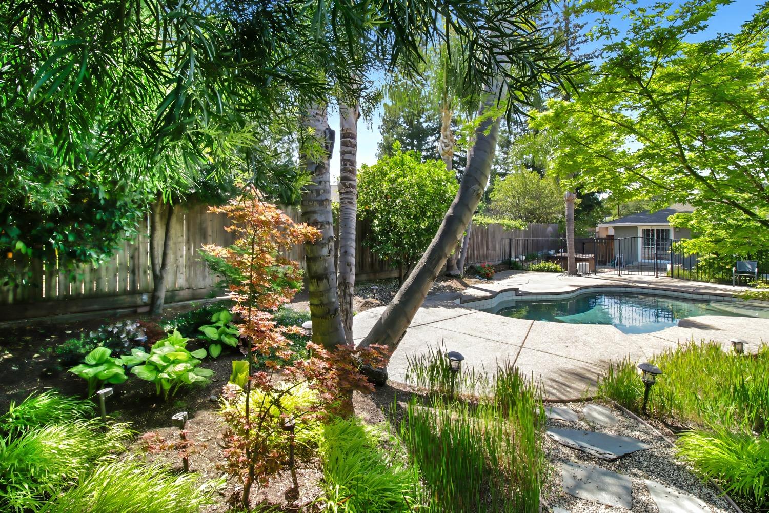 Lani Lane, Carmichael, California image 41