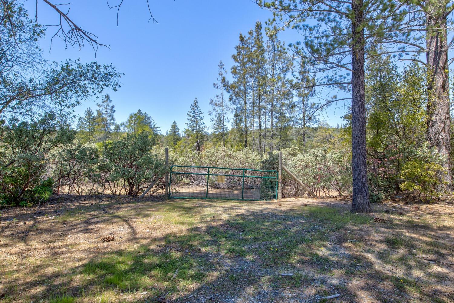 Detail Gallery Image 69 of 76 For 9413 E Ponderosa Way, Coulterville,  CA 95311 - 3 Beds | 2 Baths