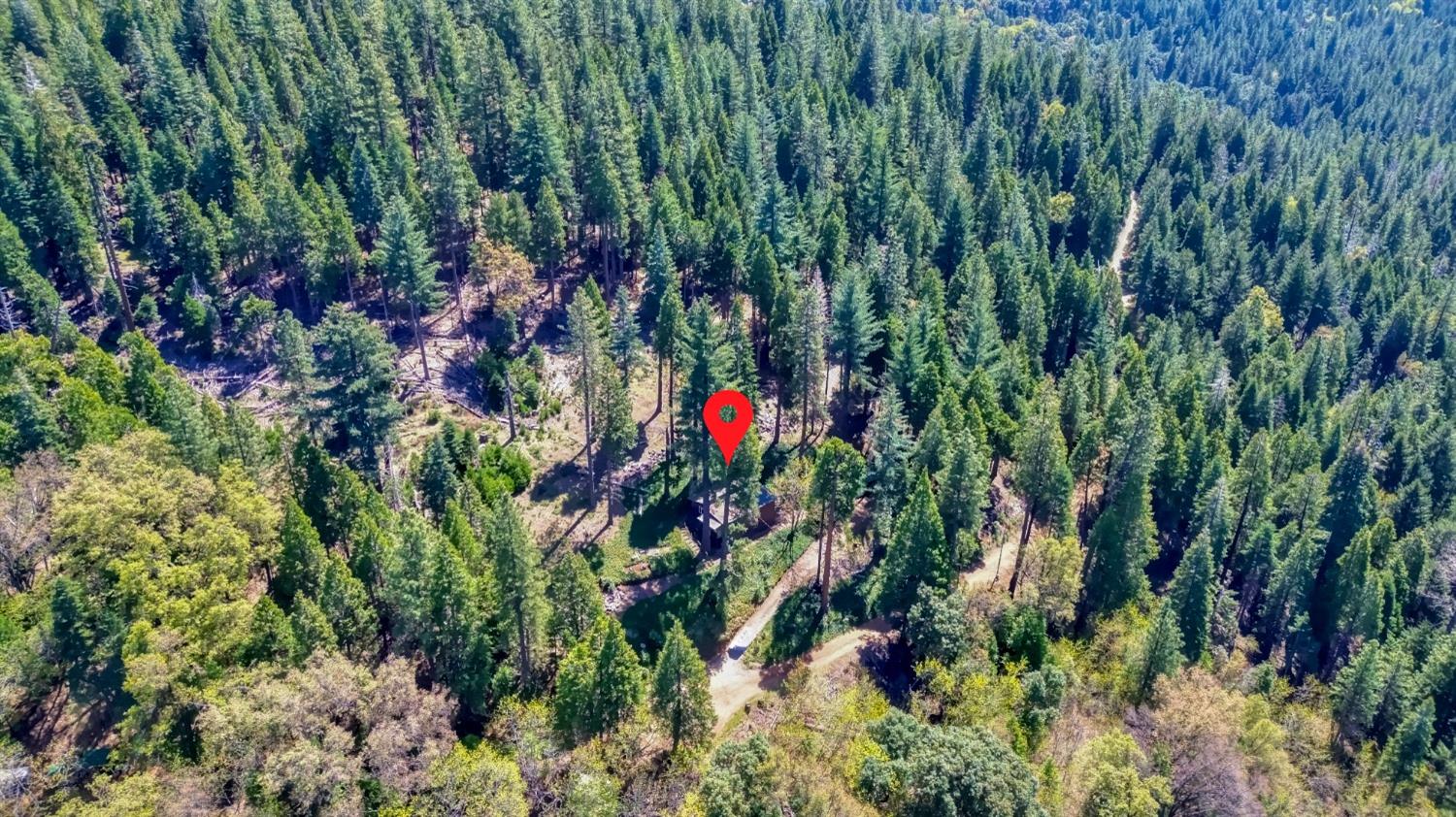 Detail Gallery Image 83 of 85 For 26601 High Trees Dr, Pioneer,  CA 95666 - 2 Beds | 1 Baths