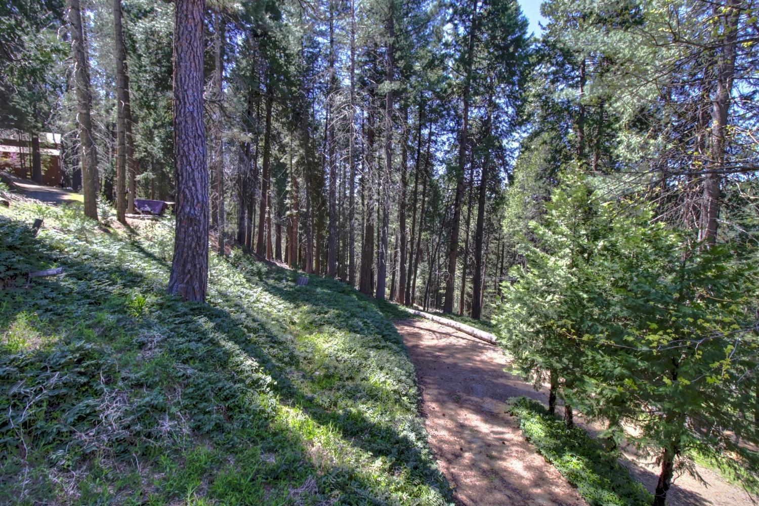 Detail Gallery Image 50 of 85 For 26601 High Trees Dr, Pioneer,  CA 95666 - 2 Beds | 1 Baths