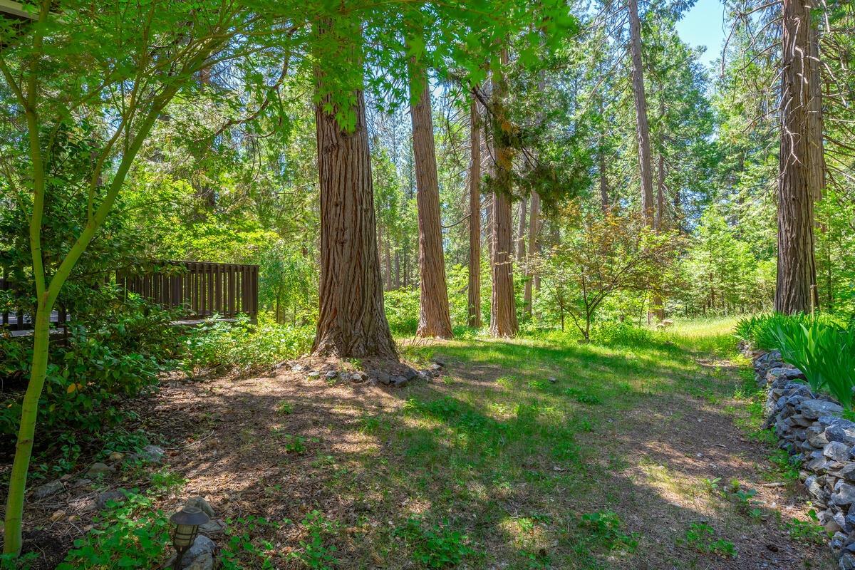 Detail Gallery Image 57 of 62 For 450 Bottle Hill Rd, Georgetown,  CA 95634 - 3 Beds | 2 Baths